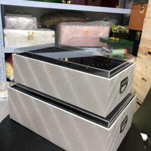 Simple Silver Acrylic Top Luggage