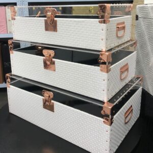 White Acrylic Top Luggage with Rose-Gold Hardware