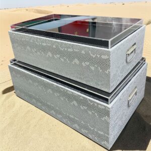 Simple Silver Acrylic Top Luggage